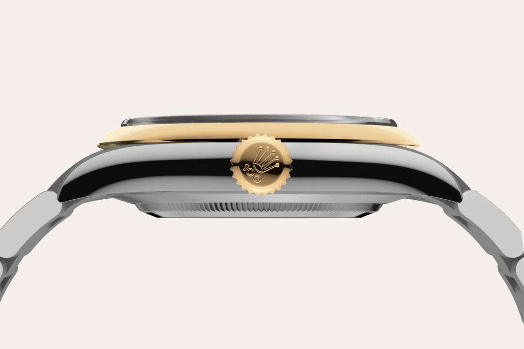 Rolex Oyster Perpetual – Oystersteel & Yellow Gold, Dark Dial 41 MM