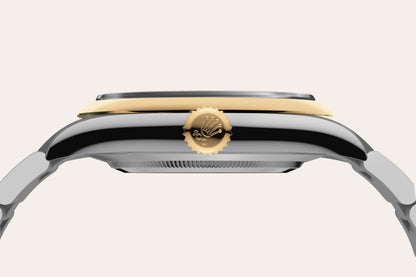Rolex Oyster Perpetual – Oystersteel & Yellow Gold, Dark Dial 41 MM